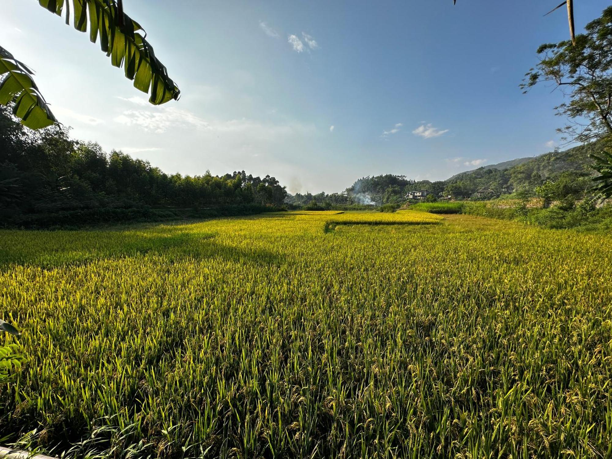 VuLinh Family Homestay Yen Binh Exterior foto