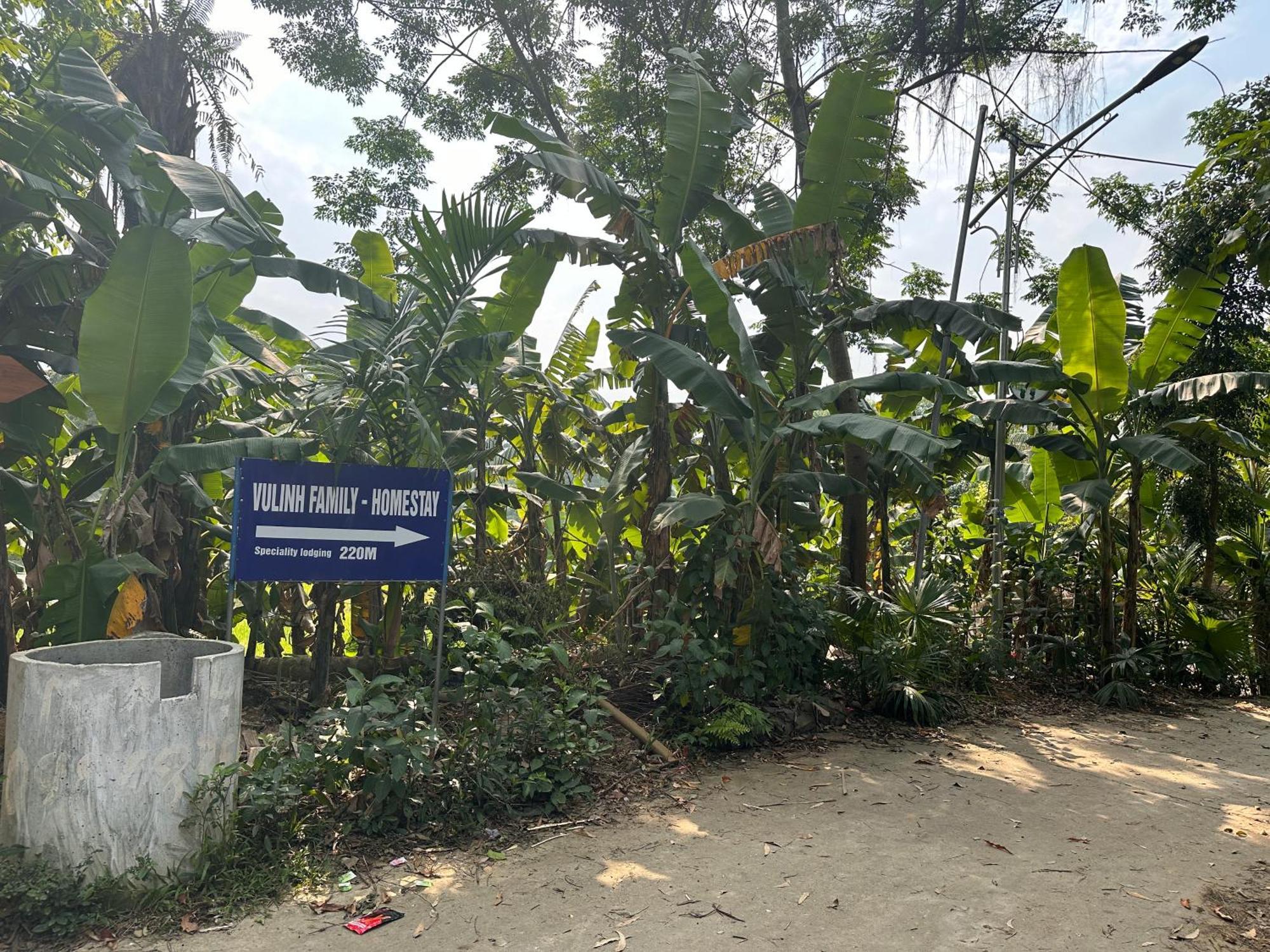 VuLinh Family Homestay Yen Binh Exterior foto