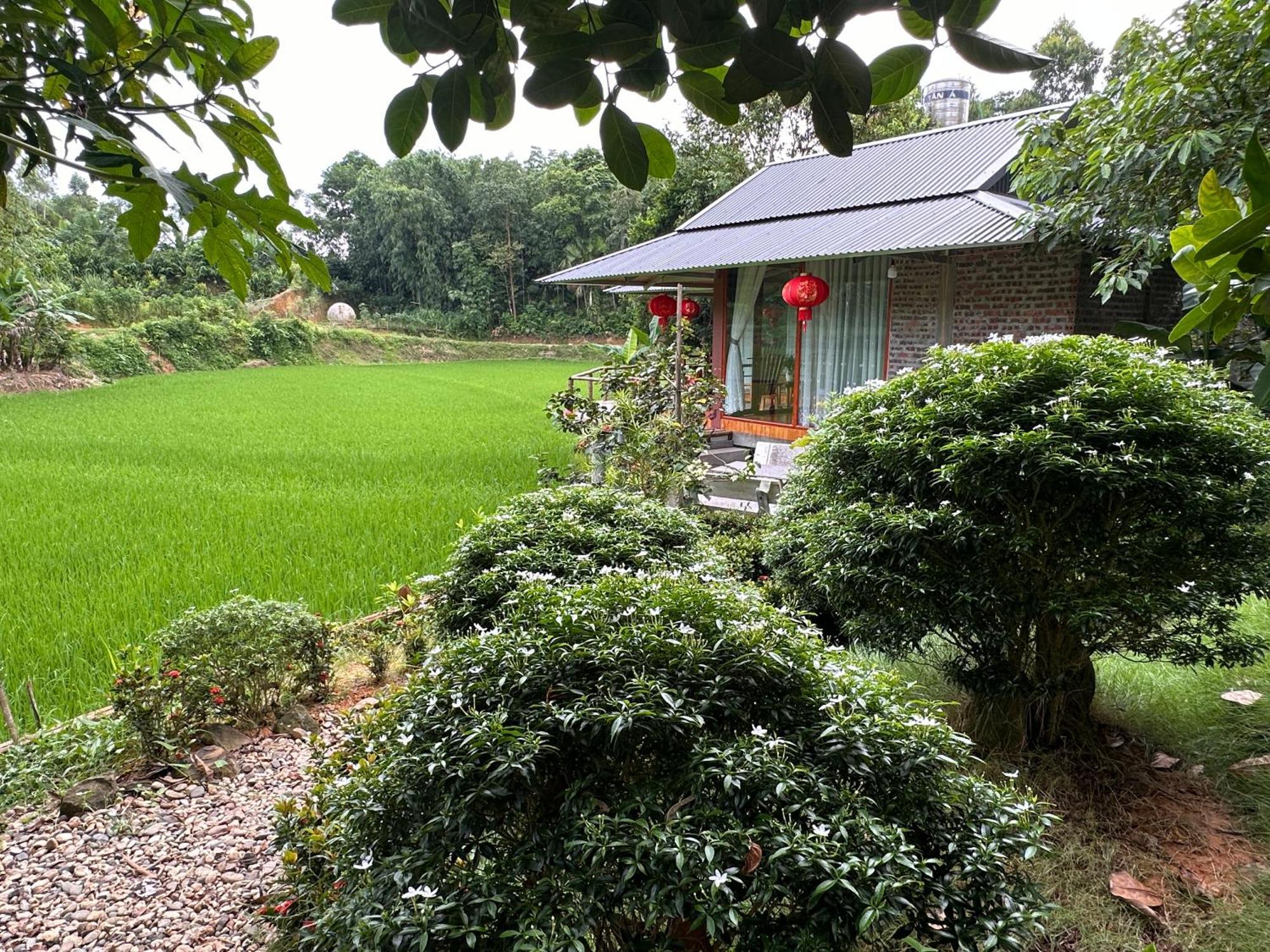 VuLinh Family Homestay Yen Binh Exterior foto