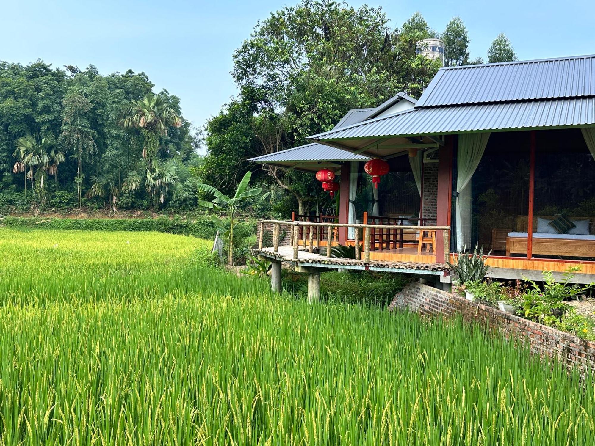 VuLinh Family Homestay Yen Binh Exterior foto